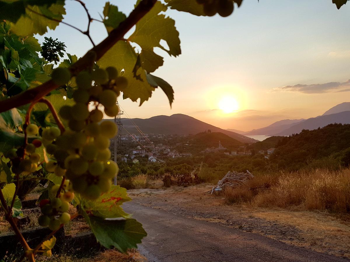 Villa Rolla Tivat Eksteriør billede